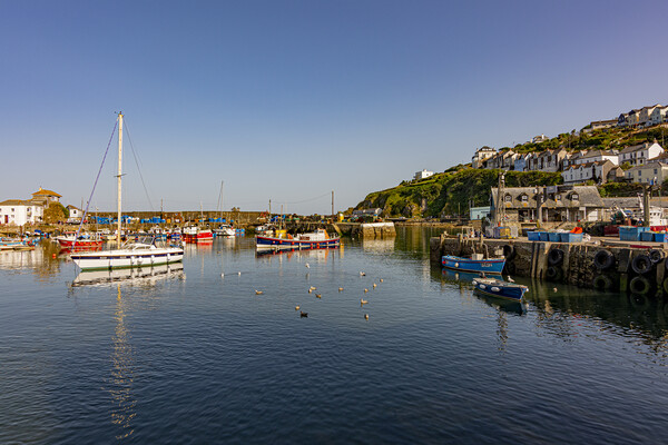 Day's End - Mevagissey Harbour Picture Board by Malcolm McHugh