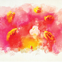Buy canvas prints of Stamen by Malcolm McHugh