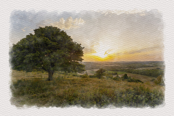 Downland Evening Picture Board by Malcolm McHugh