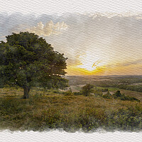 Buy canvas prints of Downland Evening by Malcolm McHugh
