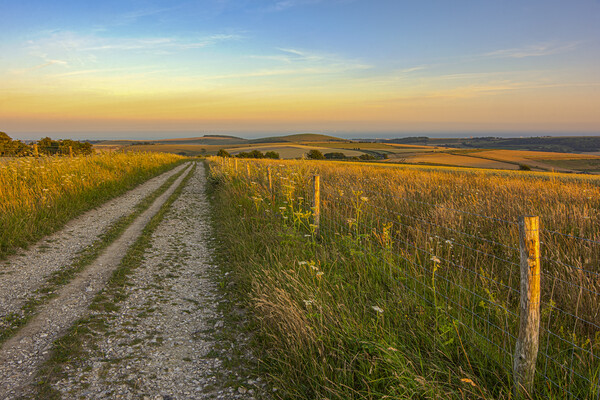 Last Light on the South Downs Way Picture Board by Malcolm McHugh