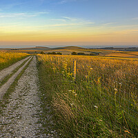 Buy canvas prints of Last Light on the South Downs Way by Malcolm McHugh