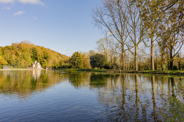 Autumn colours and reflections - Swanbourne Lake,  Picture Board by Malcolm McHugh