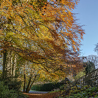 Buy canvas prints of Monarch's Way, Findon, West Sussex. by Malcolm McHugh