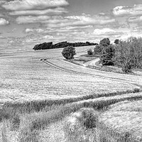 Buy canvas prints of Chanctonbury Lines Panorama by Malcolm McHugh