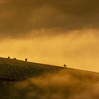 Buy canvas prints of South Downs Misty Morning by Malcolm McHugh