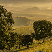 Buy canvas prints of Tranquil South Downs by Malcolm McHugh