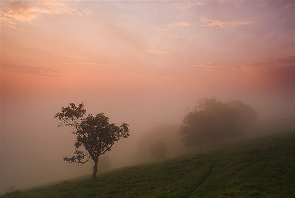 Mist on the South Downs Picture Board by Malcolm McHugh
