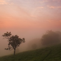 Buy canvas prints of Mist on the South Downs by Malcolm McHugh