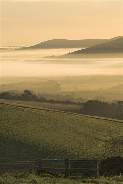 Autumn Mist - Sussex Weald Picture Board by Malcolm McHugh