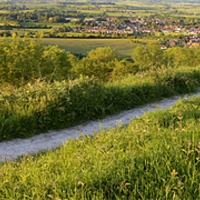 Buy canvas prints of Chalk Path to Steyning by Malcolm McHugh