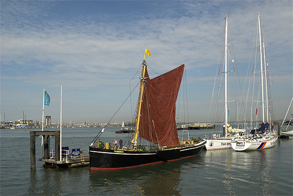 Thames Sailing Barge Alice Picture Board by Malcolm McHugh
