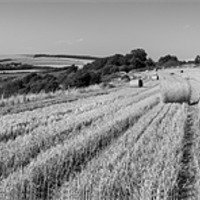 Buy canvas prints of Late Summer - South Downs by Malcolm McHugh