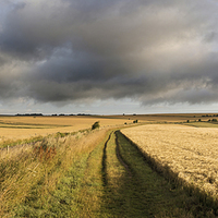 Buy canvas prints of South Downs Way by Malcolm McHugh
