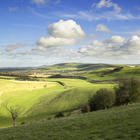 Buy canvas prints of Along the Downs by Malcolm McHugh