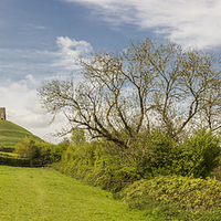 Buy canvas prints of Only in Glastonbury by Malcolm McHugh