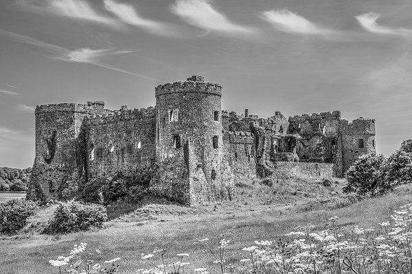 Carew Castle, Pembrokeshire Picture Board by Malcolm McHugh