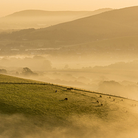 Buy canvas prints of Mist in the Bowl by Malcolm McHugh