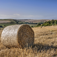 Buy canvas prints of South Downs Harvest by Malcolm McHugh