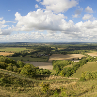 Buy canvas prints of Rackham Hill to the North Downs by Malcolm McHugh
