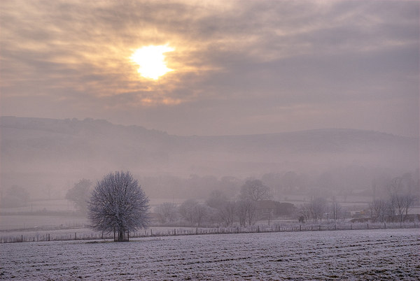 South Downs Hoar Frost Picture Board by Malcolm McHugh