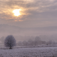 Buy canvas prints of South Downs Hoar Frost by Malcolm McHugh