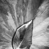 Buy canvas prints of Variegated Rain Drop by Malcolm McHugh
