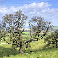 Buy canvas prints of Early Spring on Steyning Bowl by Malcolm McHugh