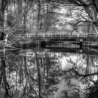 Buy canvas prints of Forest Reflections by Malcolm McHugh
