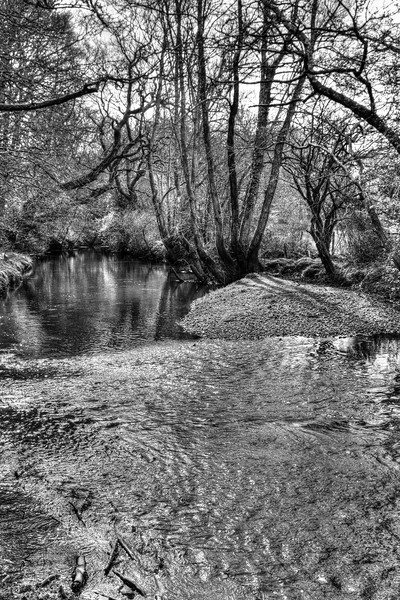 New Forest Ripple Picture Board by Malcolm McHugh