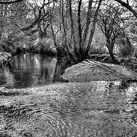 Buy canvas prints of New Forest Ripple by Malcolm McHugh