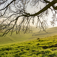 Buy canvas prints of Hazy and misty Steyning Bowl by Malcolm McHugh