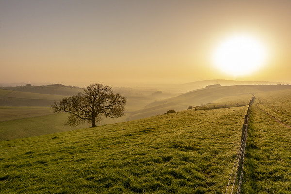 Misty South Downs Way Picture Board by Malcolm McHugh