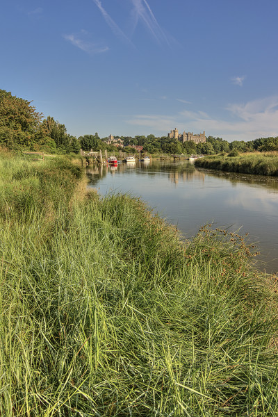 The River Arun - Arundel, West Sussex, southern En Picture Board by Malcolm McHugh