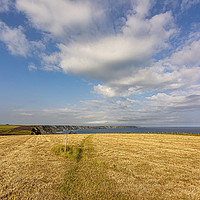 Buy canvas prints of Coastal Path on the Downs by Malcolm McHugh