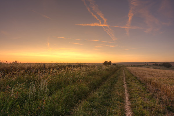 Dusk over the South Downs Way Picture Board by Malcolm McHugh