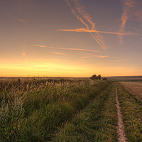 Buy canvas prints of Dusk over the South Downs Way by Malcolm McHugh