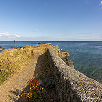 Buy canvas prints of Between Cadgwith Cove & Little Cove by Malcolm McHugh