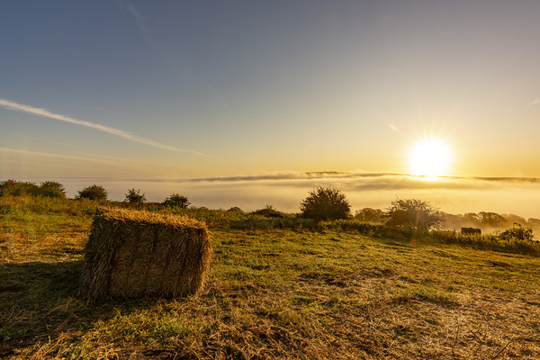 Hay Bale Sunrise Picture Board by Malcolm McHugh