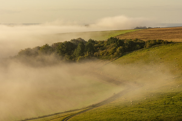 South Downs Mist Picture Board by Malcolm McHugh