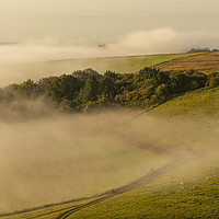 Buy canvas prints of South Downs Mist by Malcolm McHugh
