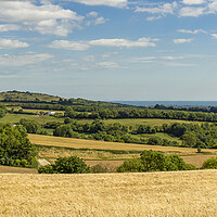 Buy canvas prints of Valiers Bottom to Cissbury Ring by Malcolm McHugh