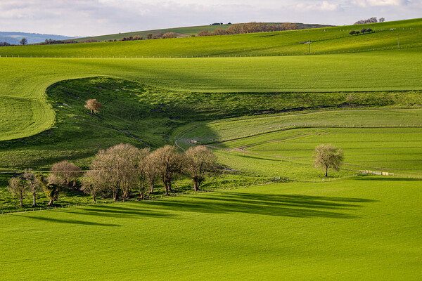 South Downs Green Picture Board by Malcolm McHugh
