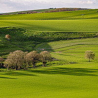 Buy canvas prints of South Downs Green by Malcolm McHugh