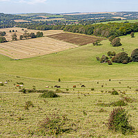 Buy canvas prints of Cissbury Ring Rampart View by Malcolm McHugh