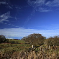 Buy canvas prints of  Azure blue skies over sheep grazing land by Stephen Prosser