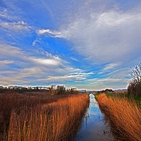 Buy canvas prints of Winter on the marshes by Stephen Prosser