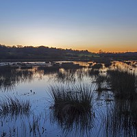 Buy canvas prints of Peace on the marshes by Stephen Prosser