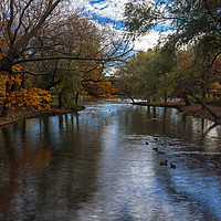 Buy canvas prints of Autumn in the park by Stephen Prosser