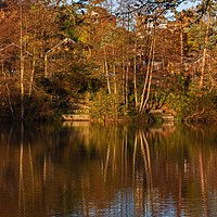 Buy canvas prints of Peace and tranquility by the lake by Stephen Prosser